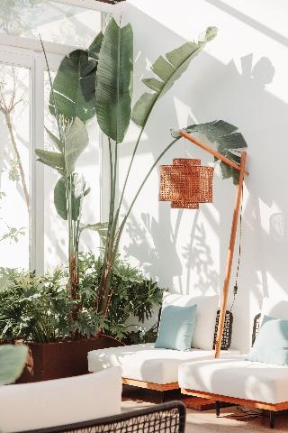 Nabi Resort Glamping & Spa fotoÄŸrafÄ±