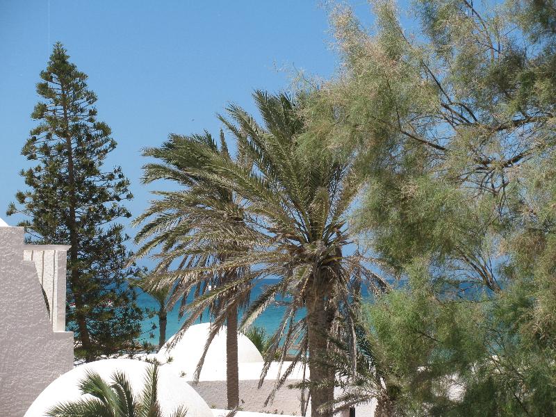 Hotel Dar Salem - Oda