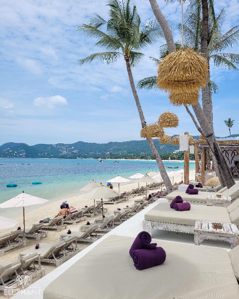 Elephant Beach Club & Resort Samui - Genel
