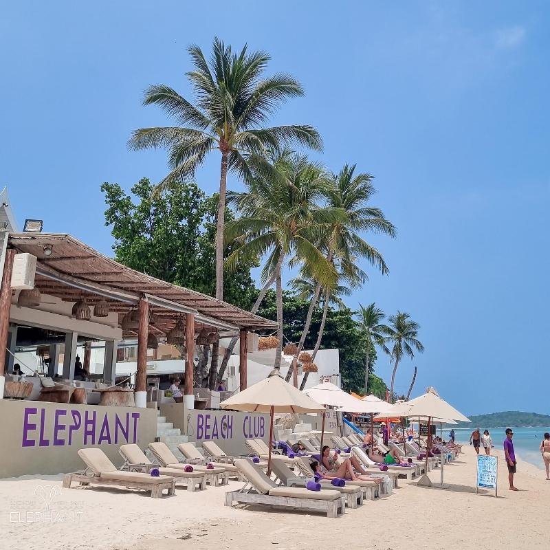 Elephant Beach Club & Resort Samui - Genel