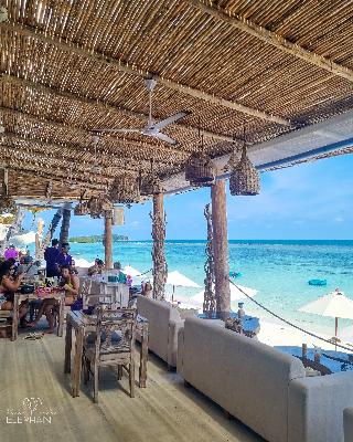 Elephant Beach Club & Resort Samui fotoÄŸrafÄ±