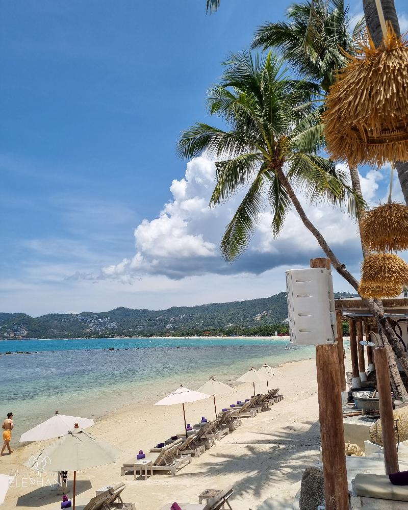 Elephant Beach Club & Resort Samui - Plaj