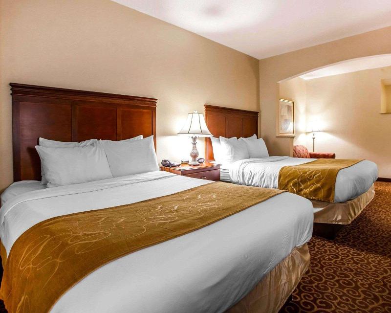Comfort Suites East Brunswick - South River - Oda