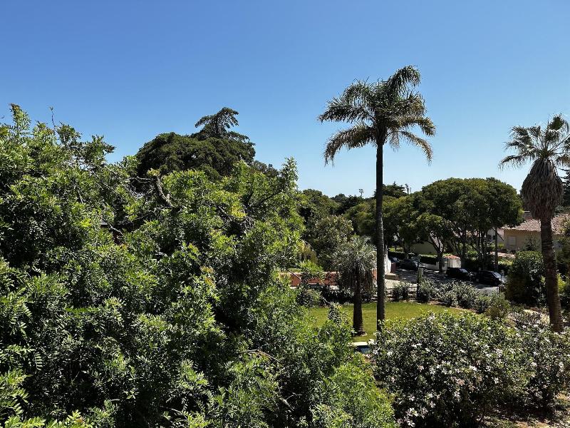 Chalet Ficalho - Oda