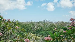RIMBA By AYANA Bali fotoÄŸrafÄ±