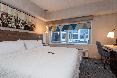 Holiday Inn Express New Rochelle oda fotoğrafı