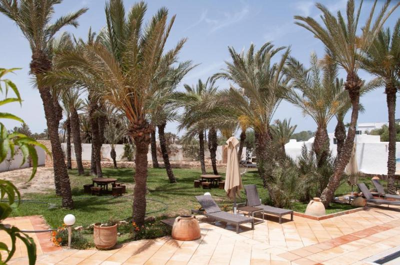 Le Patio De Mezraya - Genel