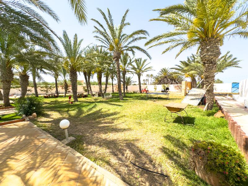 Le Patio De Mezraya - Genel