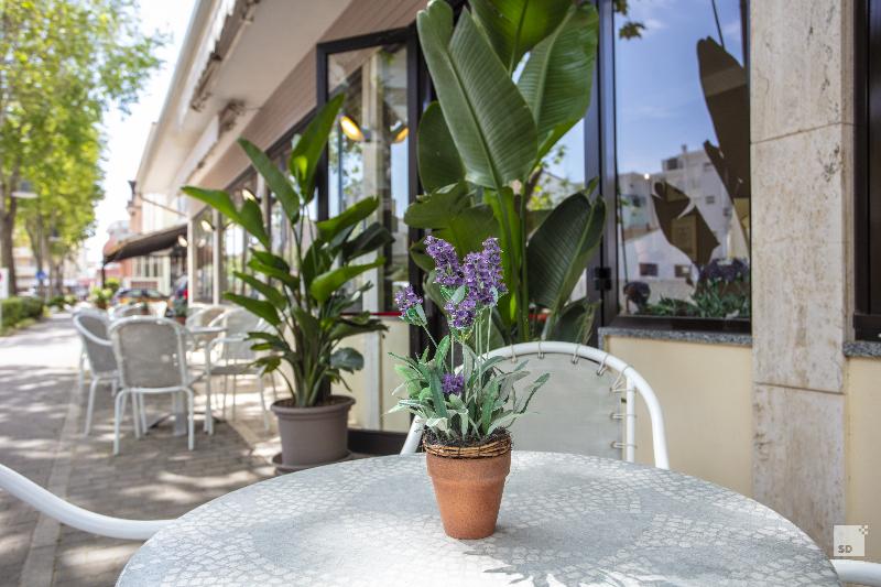Hotel Fattori Mare - Genel