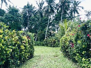 Ambary Ubud fotoÄŸrafÄ±