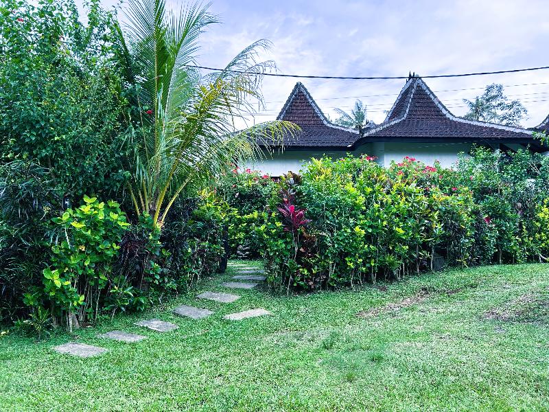 Ambary Ubud - Genel