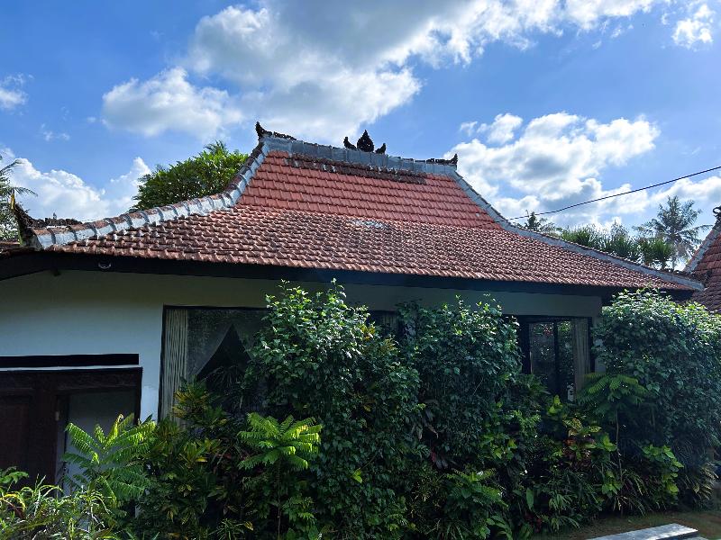 Ambary Ubud - Genel