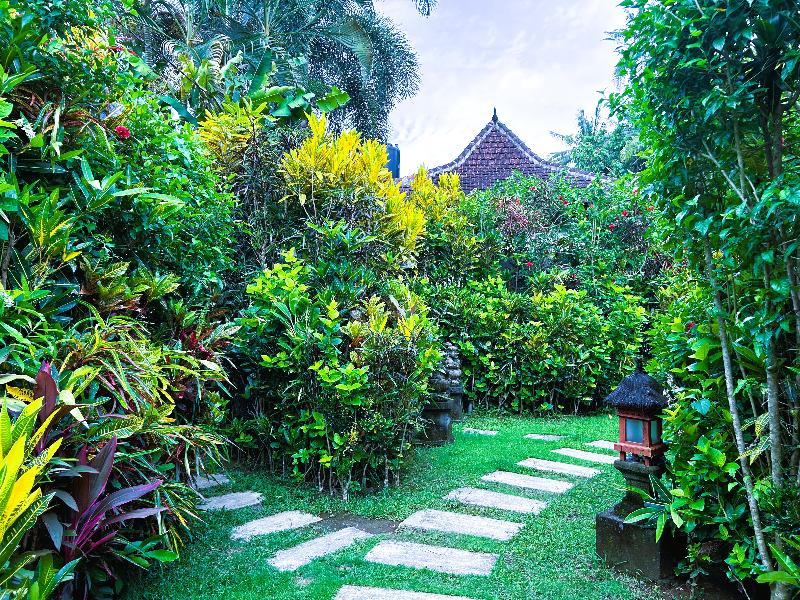 Ambary Ubud - Genel