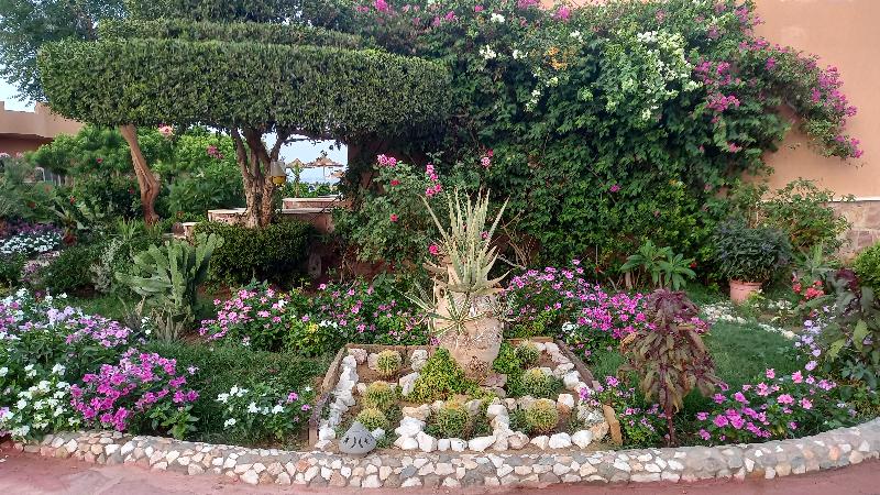 Silver Beach Boutique Hotel - Genel