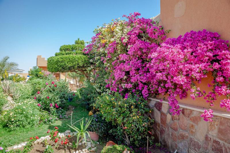 Silver Beach Boutique Hotel - Genel
