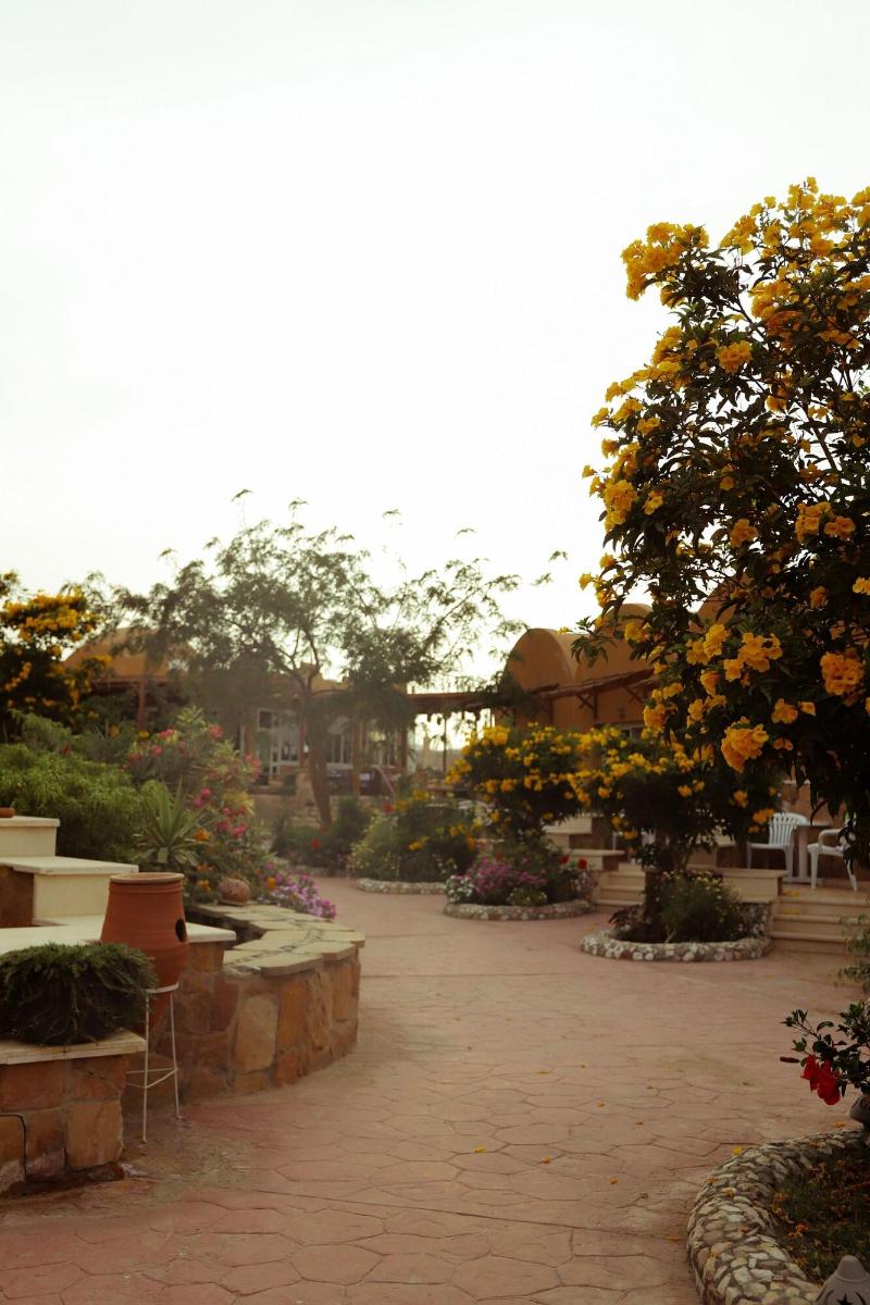 Silver Beach Boutique Hotel - Oda