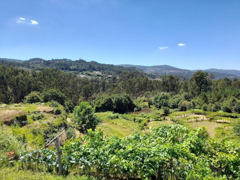Coliving The VALLEY With Coworking Space Open 24-7 - Oda