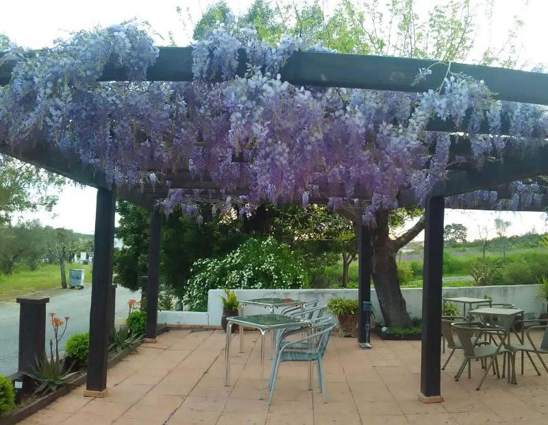 Hotel Das Termas - Teras