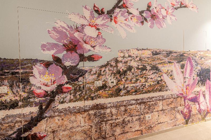 Profumi Di Primavera Luxury Guest House - Genel
