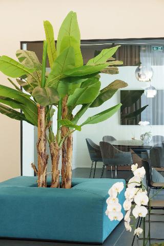 Vi Suites fotoÄŸrafÄ±