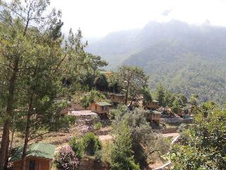 Gunes Holiday