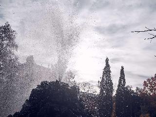 Tribe Baden-Baden fotoÄŸrafÄ±