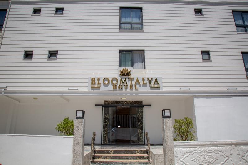 Bloomtalya - Genel