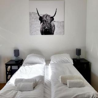 Neulerchenfelder City Apartment Vienna fotoÄŸrafÄ±