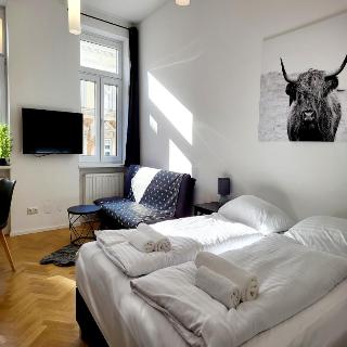 Neulerchenfelder City Apartment Vienna fotoÄŸrafÄ±
