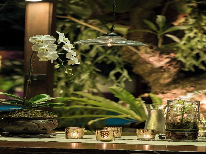 Chandra Residence - Oda