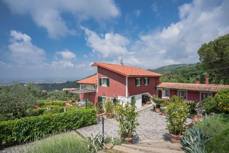 B B Rosso Baccara - Genel