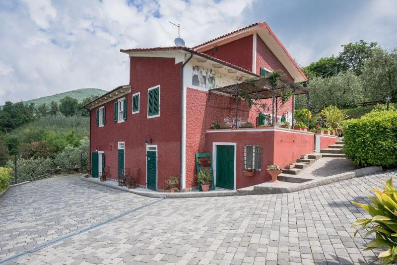B B Rosso Baccara - Genel