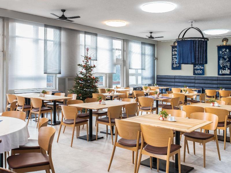 Ibis Styles Roznov - Genel
