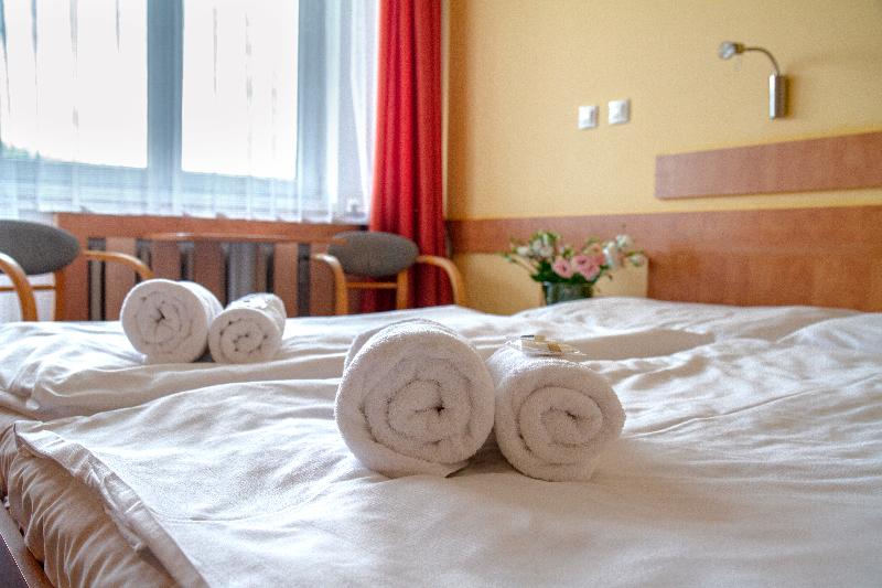 Ibis Styles Roznov - Oda