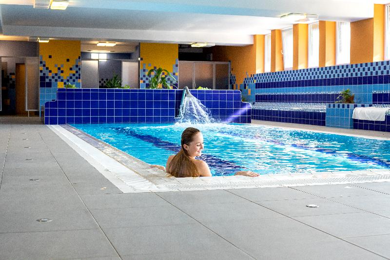Ibis Styles Roznov - Havuz