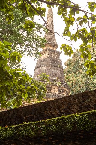 Aleenta Retreat Chiang Mai fotoÄŸrafÄ±