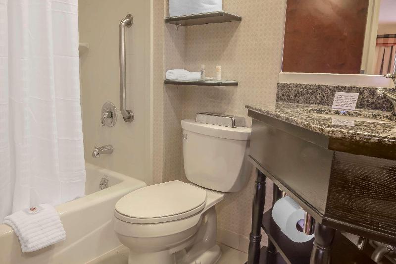 Comfort Inn & Suites Airport La Guardia Airport - Oda
