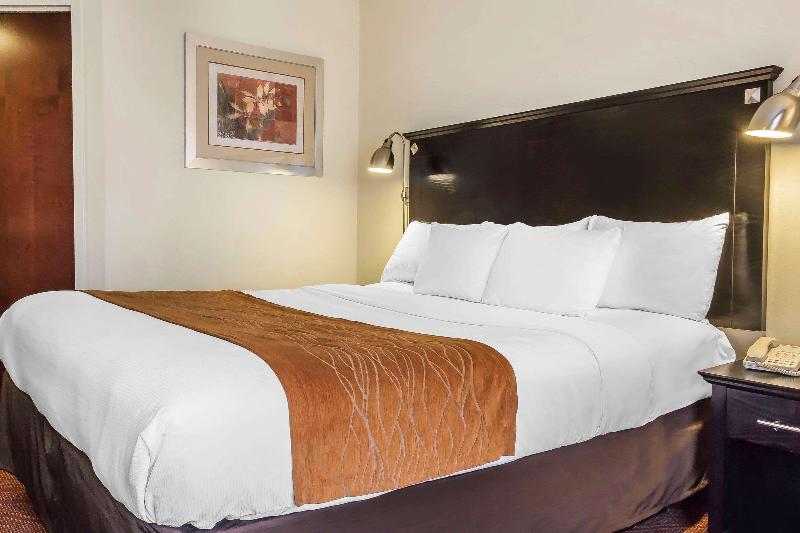 Comfort Inn & Suites Airport La Guardia Airport - Oda