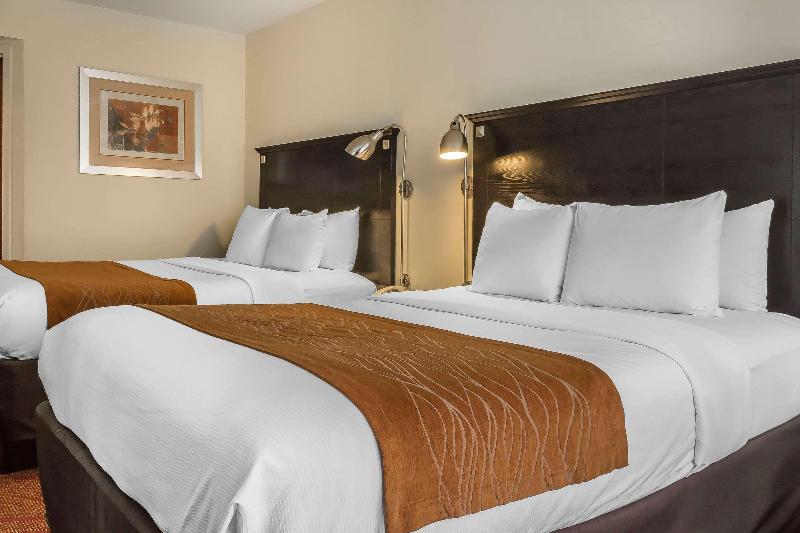 Comfort Inn & Suites Airport La Guardia Airport - Oda