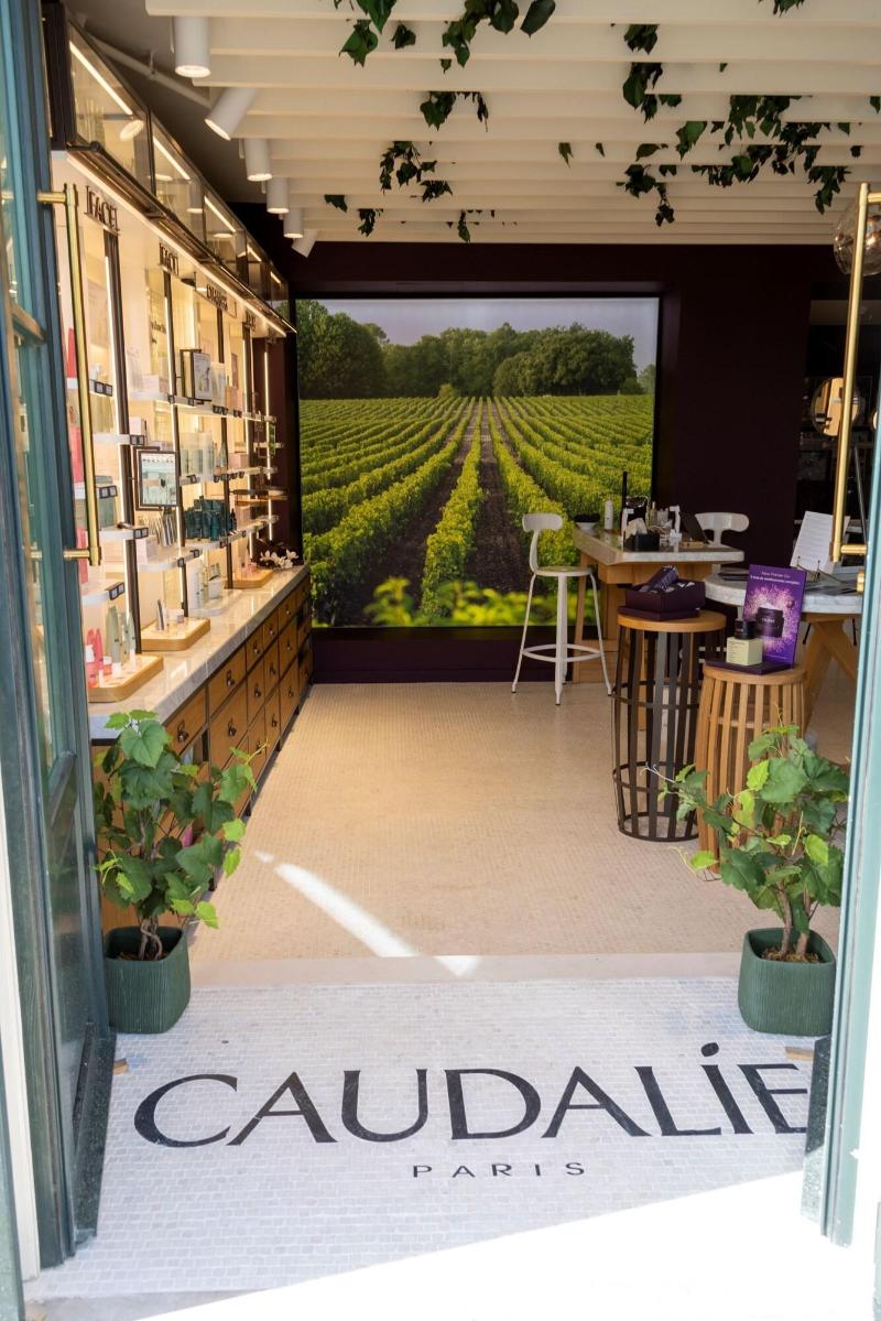 Palacio Ludovice Wine Experience Hotel - Aktivite