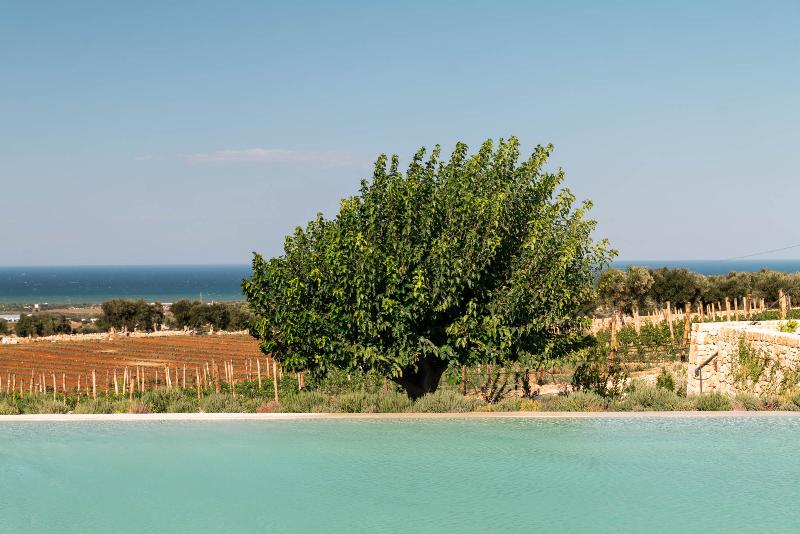 Masseria Auraterrae - Havuz