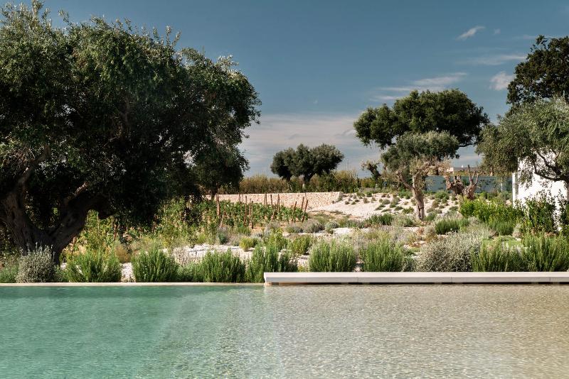 Masseria Auraterrae - Havuz
