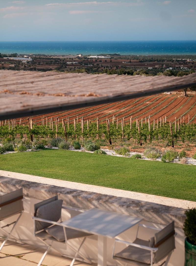 Masseria Auraterrae - Teras