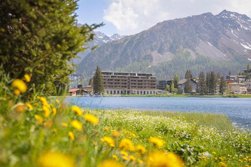 Aves Arosa - Genel