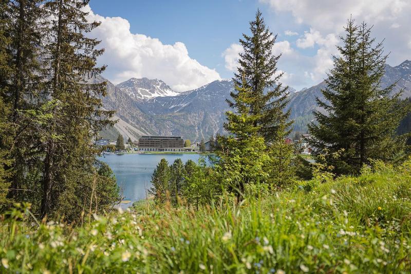 Aves Arosa - Genel