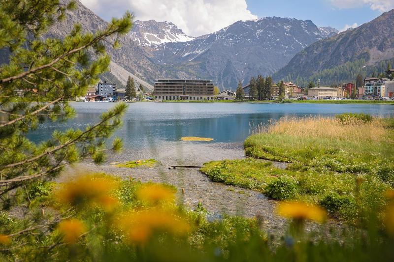 Aves Arosa - Genel