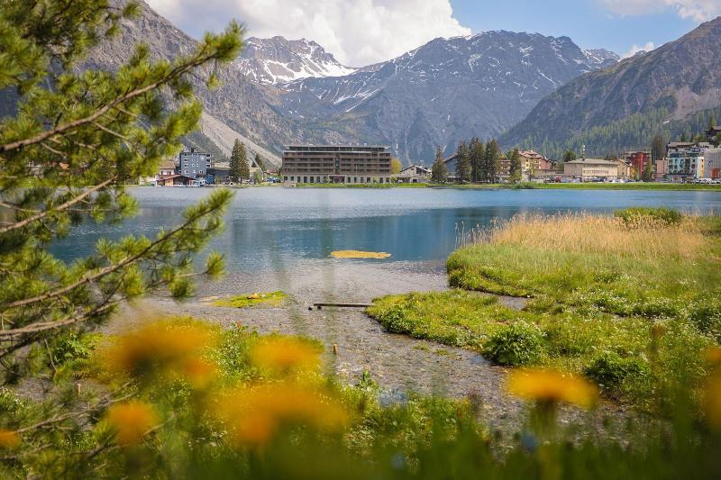 Aves Arosa - Teras