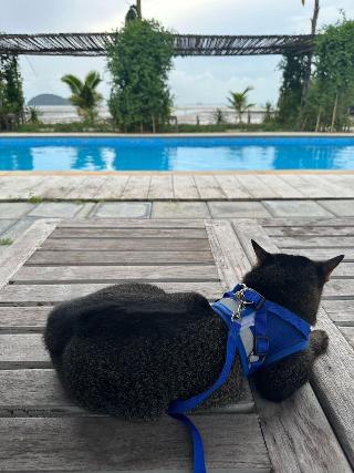 Artisan Koh Yao Yai fotoÄŸrafÄ±
