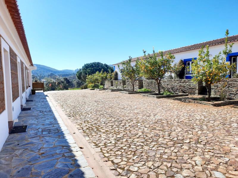 Naturarte Campo - Genel