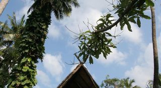 Banpu Koh Chang fotoÄŸrafÄ±